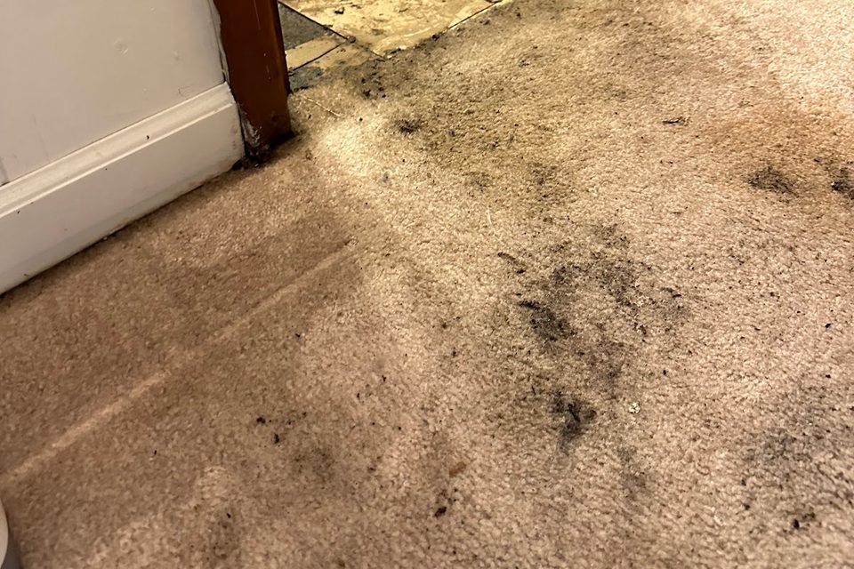 Water-damaged carpet and floor at an interior doorway