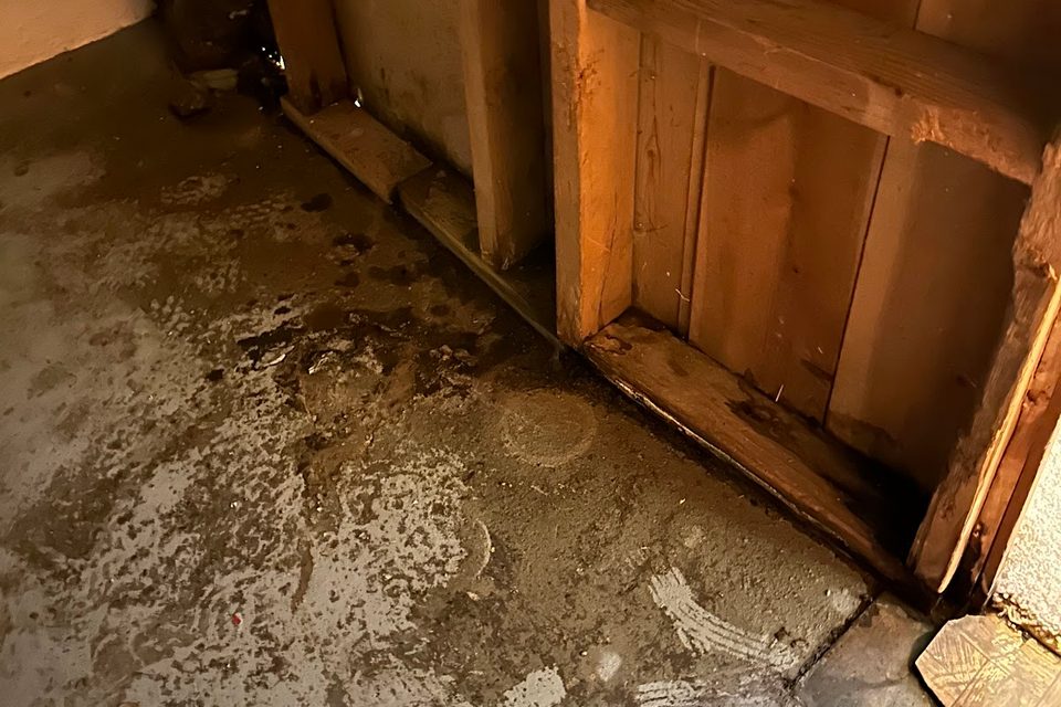 Affected floor and wall finishes beside a doorway
